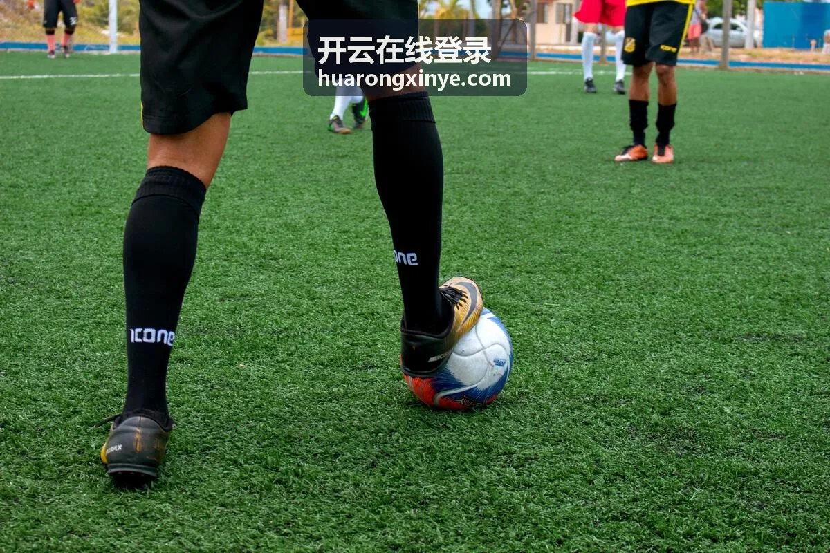 开云在线登录登录审计记录字段示意